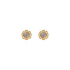 22k Gemstone Earring JGS-2006-02667