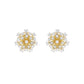 18k Real Diamond Earring JGS-2106-00902