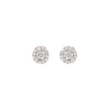 14k Real Diamond Earring JGZ-2106-00896